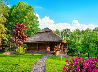 Projektowanie przestrzeni wypoczynkowej: Jak stworzyć idealne środowisko do relaksu w domku leśnym z sauną i jacuzzi